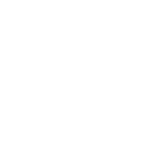 Skyline Cranes